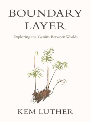 cover image of Boundary Layer